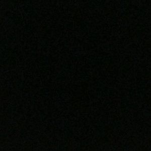 Meet your Posher, Tonnia